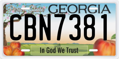 GA license plate CBN7381