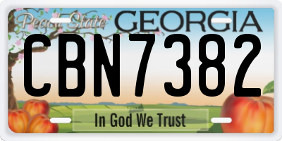 GA license plate CBN7382