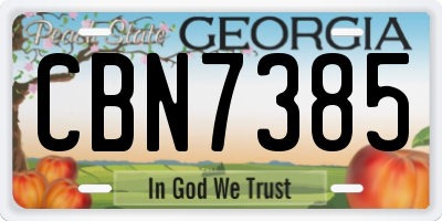 GA license plate CBN7385