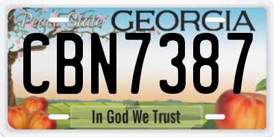 GA license plate CBN7387
