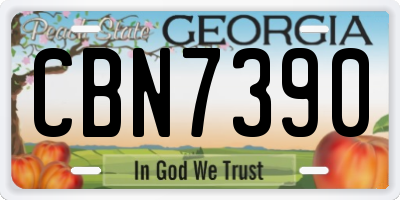 GA license plate CBN7390