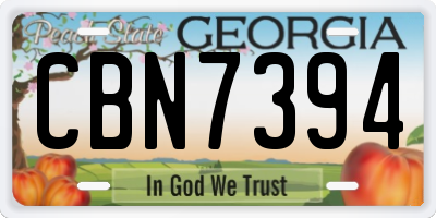 GA license plate CBN7394