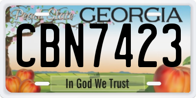 GA license plate CBN7423