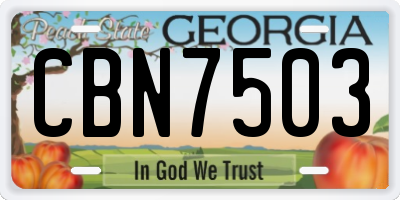 GA license plate CBN7503
