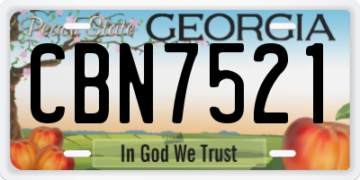 GA license plate CBN7521