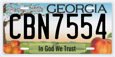 GA license plate CBN7554