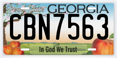 GA license plate CBN7563