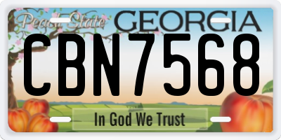 GA license plate CBN7568
