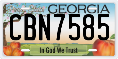 GA license plate CBN7585