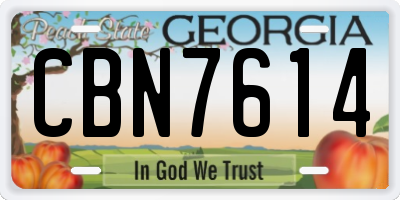 GA license plate CBN7614