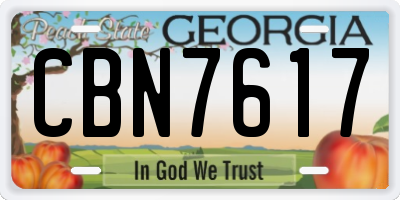 GA license plate CBN7617