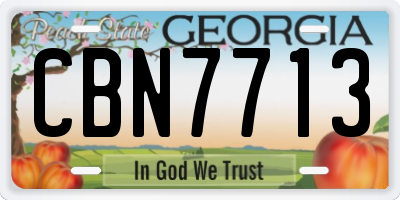 GA license plate CBN7713