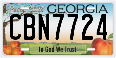 GA license plate CBN7724