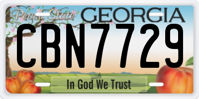 GA license plate CBN7729