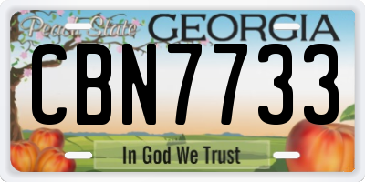 GA license plate CBN7733