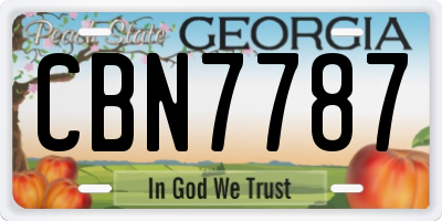GA license plate CBN7787