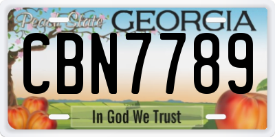 GA license plate CBN7789