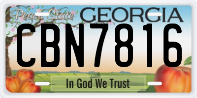 GA license plate CBN7816