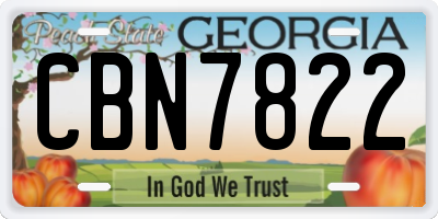 GA license plate CBN7822