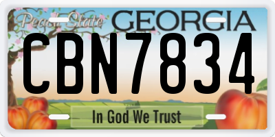 GA license plate CBN7834