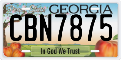 GA license plate CBN7875