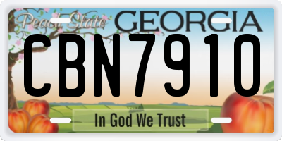 GA license plate CBN7910