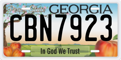 GA license plate CBN7923