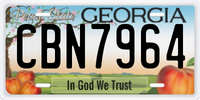 GA license plate CBN7964