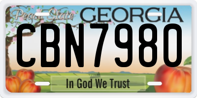 GA license plate CBN7980