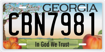 GA license plate CBN7981