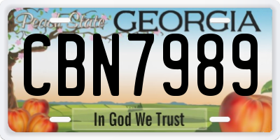 GA license plate CBN7989