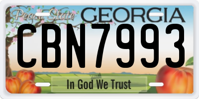 GA license plate CBN7993