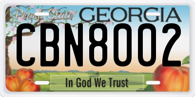 GA license plate CBN8002