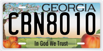 GA license plate CBN8010