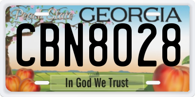 GA license plate CBN8028