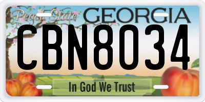GA license plate CBN8034