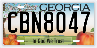 GA license plate CBN8047
