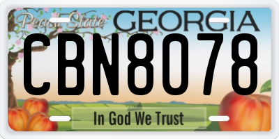 GA license plate CBN8078