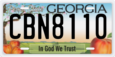 GA license plate CBN8110