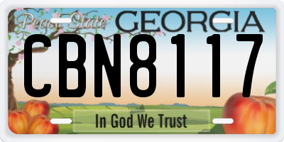 GA license plate CBN8117
