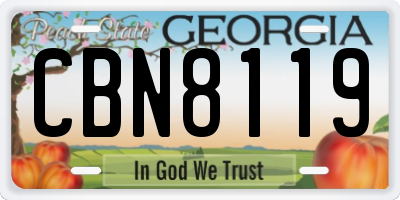 GA license plate CBN8119