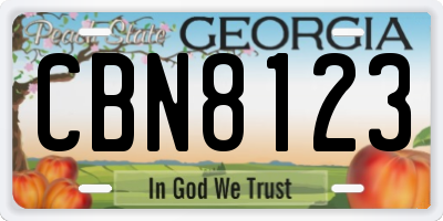 GA license plate CBN8123