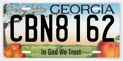 GA license plate CBN8162