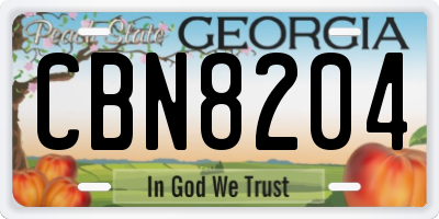 GA license plate CBN8204