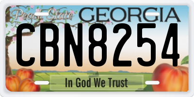 GA license plate CBN8254