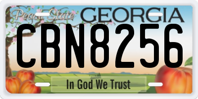 GA license plate CBN8256