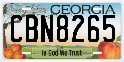 GA license plate CBN8265