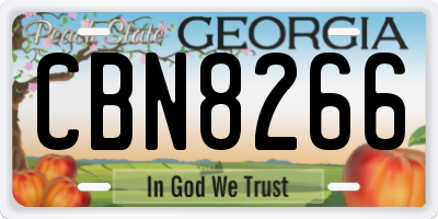 GA license plate CBN8266