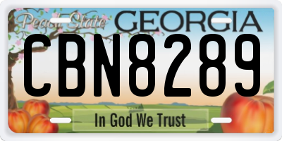 GA license plate CBN8289