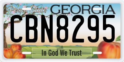 GA license plate CBN8295